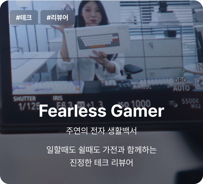 Fearless Gamer