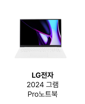 LG전자 그램15 노트북