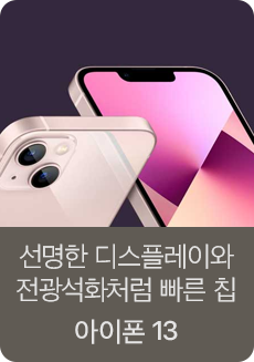 아이폰 13