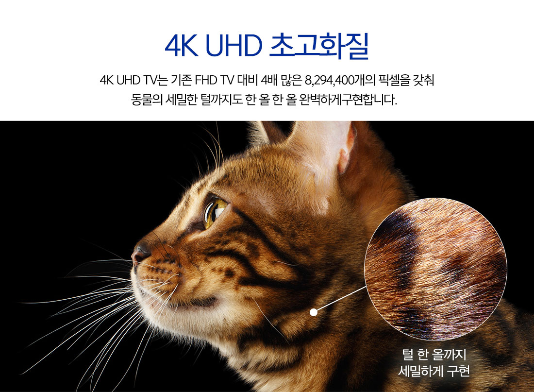 50_UHD_TV_CINEeye_C5036830UT_03.jpg