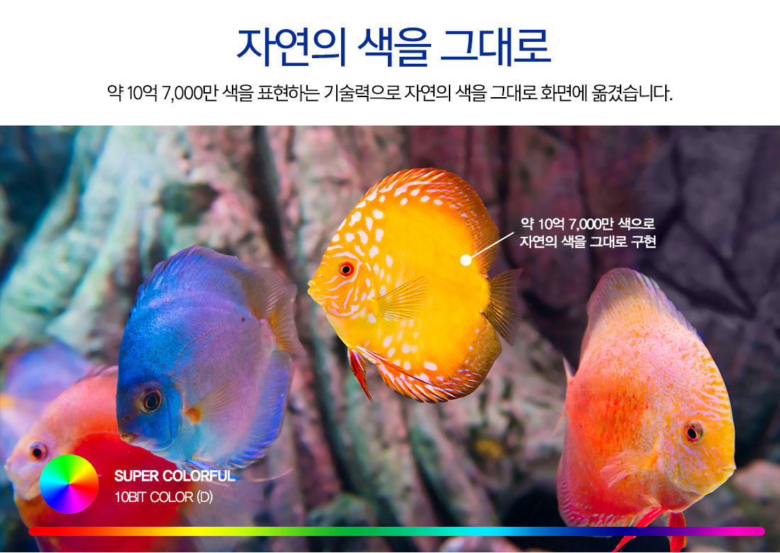 50_UHD_TV_CINEeye_C5036830UT_06.jpg
