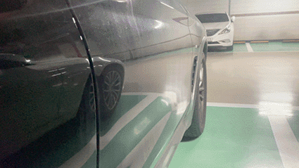 31 copy.gif