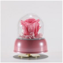 [프리저브드플라워] 핑크 장미 미니 오르골 5종