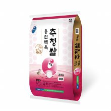 [21년산] 용인 백옥추청쌀 20kg/농협쌀/당일도정
