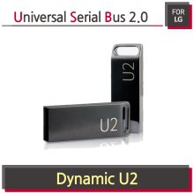 Dynamic U2 메모리 [ 16GB ]