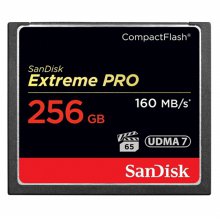 샌디스크 CF Extreme Pro UDMA 7 1067X 256GB