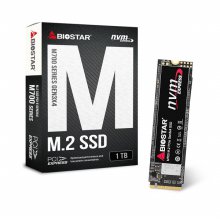 바이오스타 M700 M.2 2280 NVMe SSD (1TB)