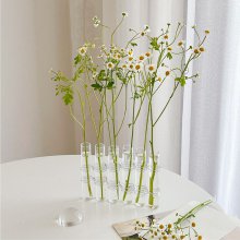 [해외직구] 블레오 이케바나 실린더 투명 유리관 체체 꽃병 8P