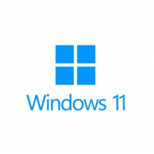 Microsoft Windows 11 Pro (처음사용자용 한글)