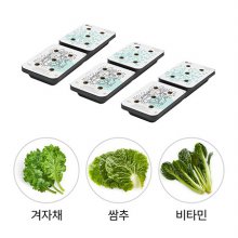 틔운용 씨앗키트 패키지 LPH09 (겨자채+쌈추+비타민)