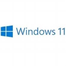 Microsoft Windows 11 Pro (처음사용자용 한글)