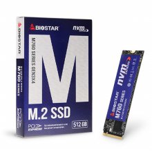 바이오스타 M760 M.2 NVMe SSD (512GB) 이엠텍