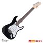 스윙 일렉 기타G SWING Guitar R-3 PLUS / R3 PLUS