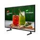 비즈니스TV 65인치 4K UHD LED LH65BEDHLGFXKR  스탠드형 에너지 효율 1등급