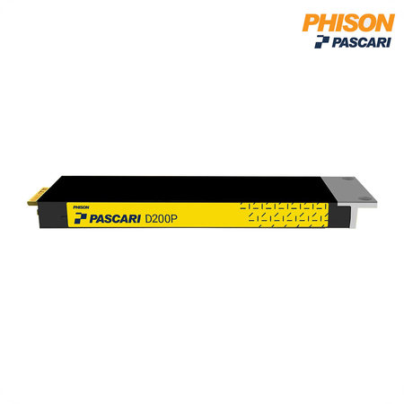 파이슨 D-Series Data Center D200P M.2 NVMe SSD 1.92TB E1.S(9.5)