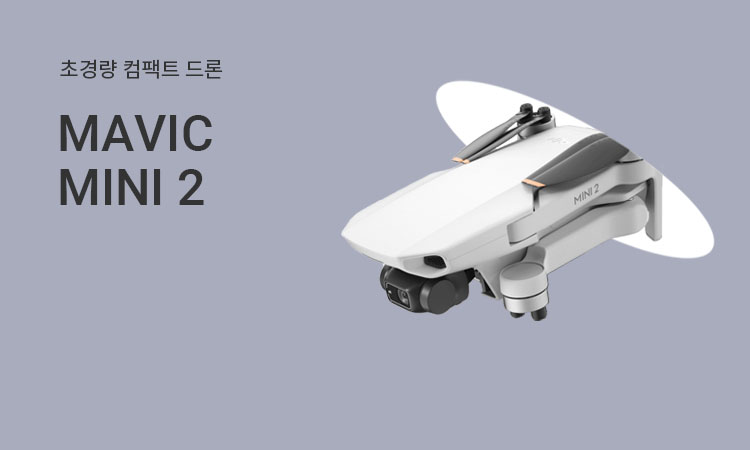 MAVIC MINI2