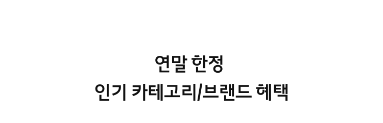 연말 한정 인기 카테고리/브랜드 혜택