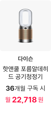 다이슨