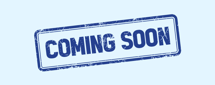 빅하트세일까지 남은 시간