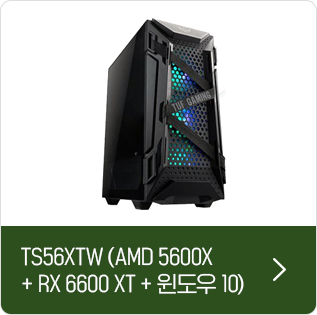 TS56XTW (AWD 5600X + RX 6600 XT + 윈도우 10)