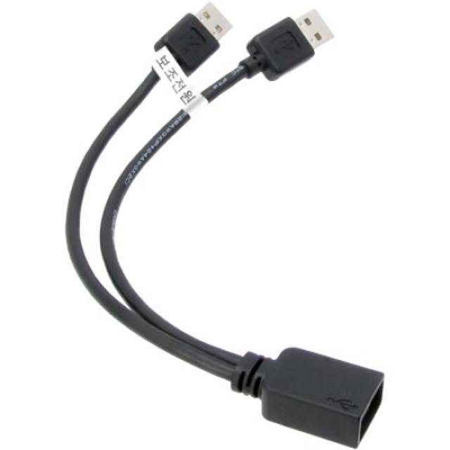 USB2.0 연장 Y케이블 [블랙]