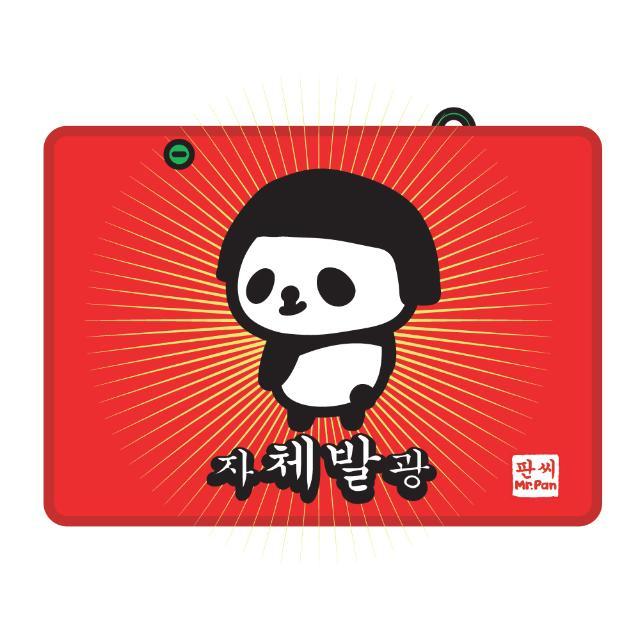 판씨 무릎어깨담요