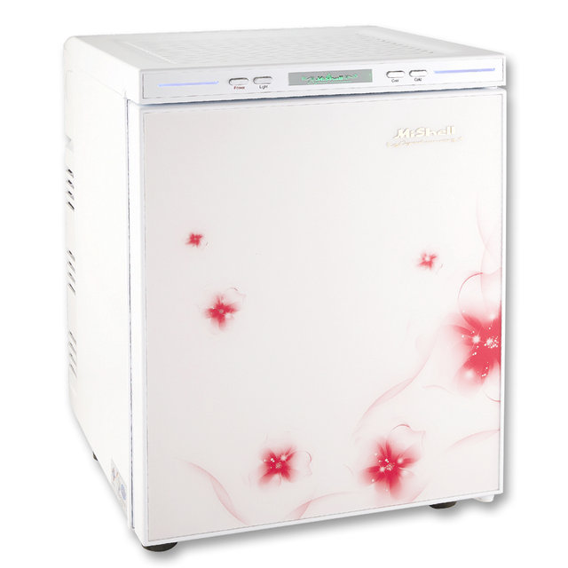 무소음 화장품 냉장고 AT-0152WEN (25L)
