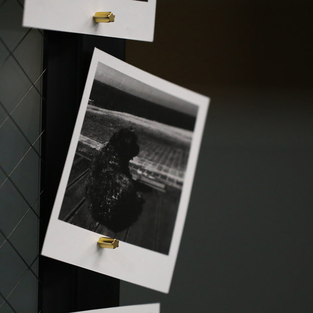 cassiopeia magnet 별자석 마그넷 / silver