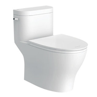 웨이브 원피스 양변기 C2095