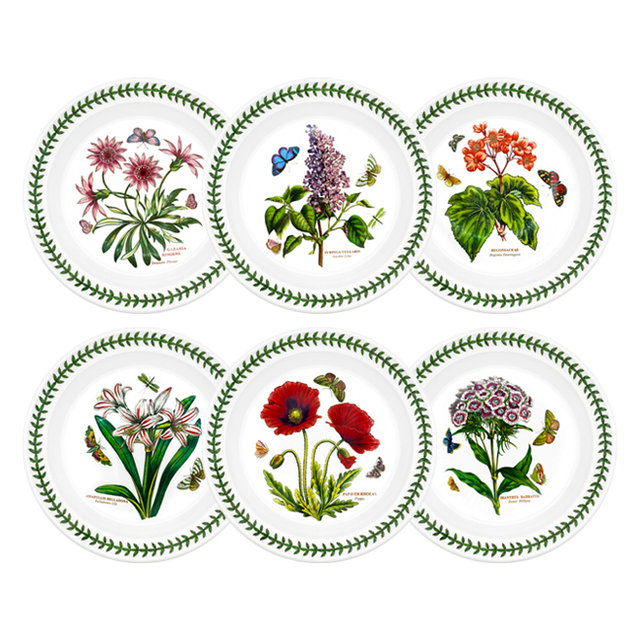 보타닉가든 중접시 20cm 1p (무늬랜덤발송)