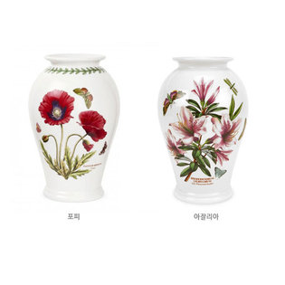 보타닉가든 화병10 (포피)