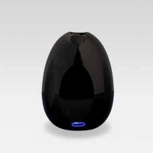 개인/탁상용 UV 칫솔살균기 Bobo 블랙 L-S200