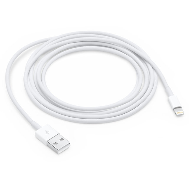 Apple 정품 라이트닝 to USB 케이블 (2M)
