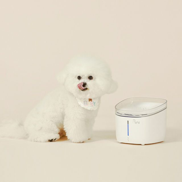 페페 강아지 고양이 UV살균정수기 세트 모음