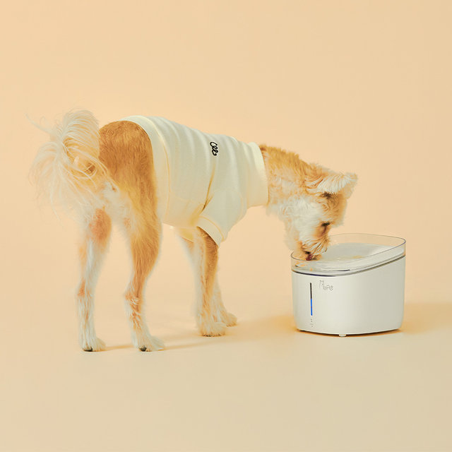 페페 강아지 고양이 UV살균정수기 세트 모음