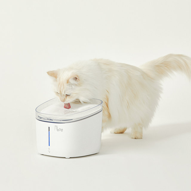   페페 강아지 고양이 UV살균정수기
