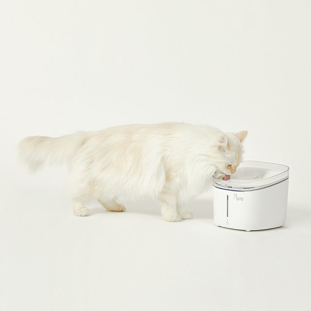  페페 강아지 고양이 UV살균정수기