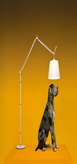 [사은품] 공식판매처◈Artemide 톨로메오 메가 테라 360