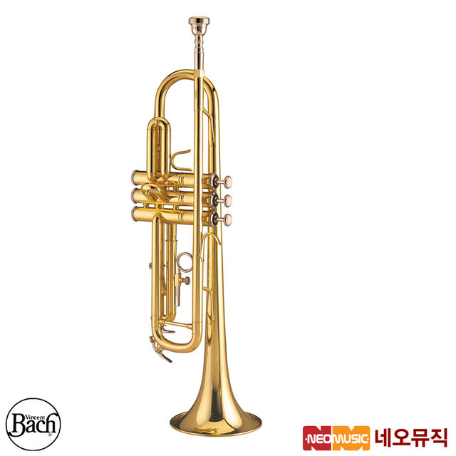 바하 트럼펫 Bach Trumpet TR600 / TR-600 한국정품