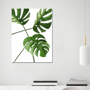 [아트빌리지]모던 인테리어 거실 보태니컬 식물 그림액자 (50x60cm)