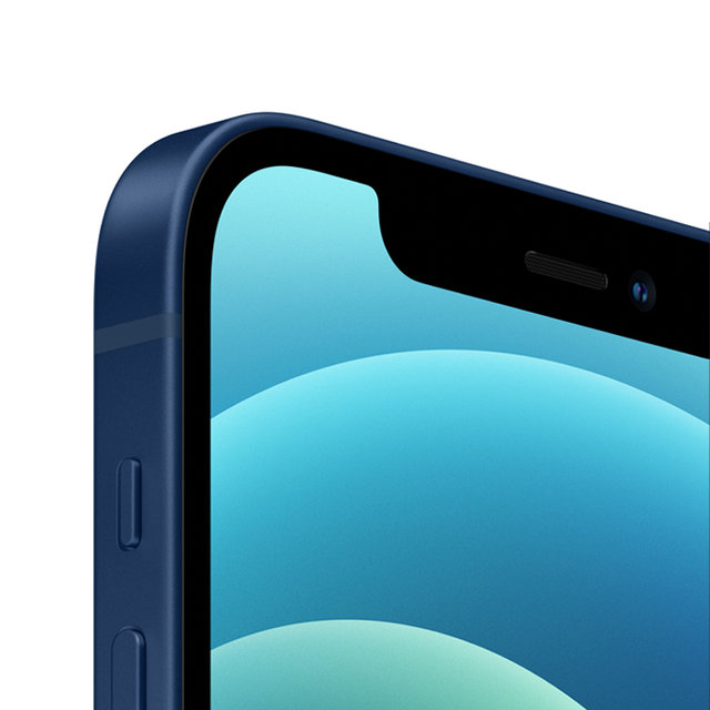 아이폰12, 자급제 (64GB, 블루)