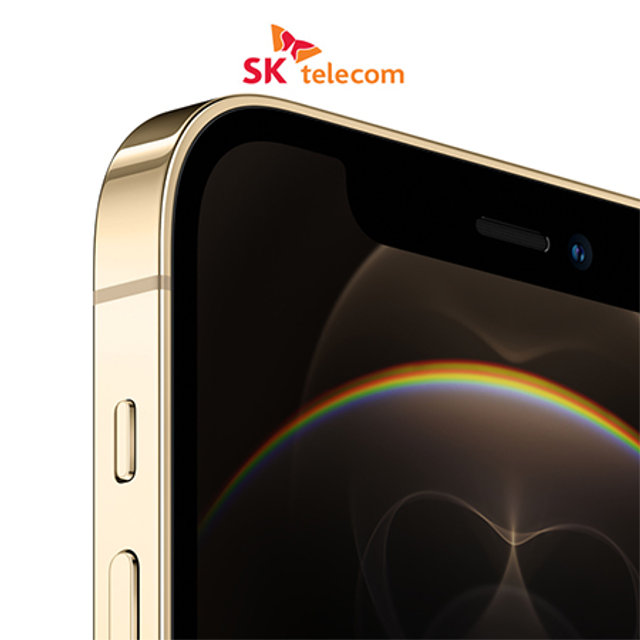 *임직원* [SKT] 애플 아이폰12 PRO [256GB] [골드] [IPHONE12P-256GD]