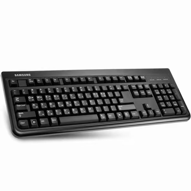 삼성전자 SKG-3000UB 유선 키보드 (USB키스킨포함)