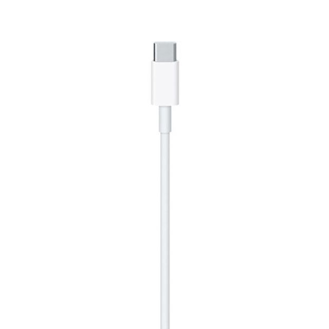 정품 USB-C 충전 케이블 (2M)