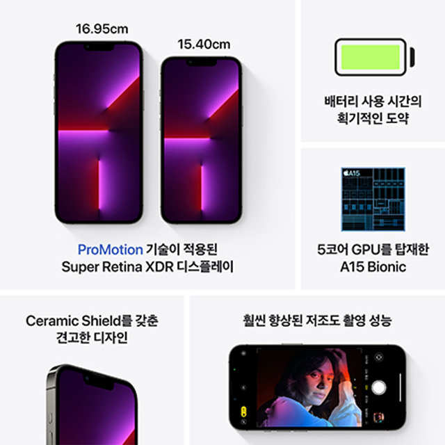 아이폰13 프로 자급제 (1TB, 그래파이트)