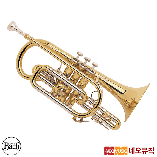 바하 코넷 Bach Cornet 184ML / 골드 / 쇼트 모델