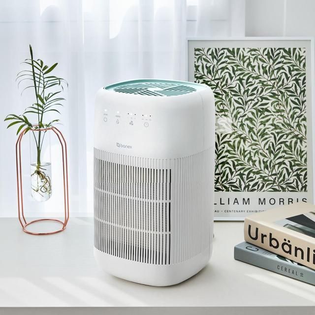 바넥스 2in1 공기청정 미니제습기 BN-D750 원룸 저소음