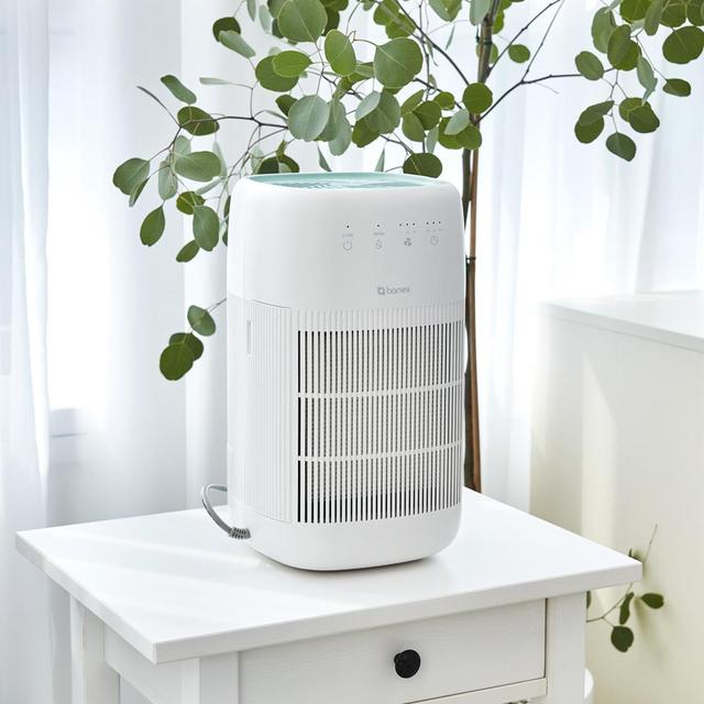 바넥스 2in1 공기청정 미니제습기 BN-D750 원룸 저소음