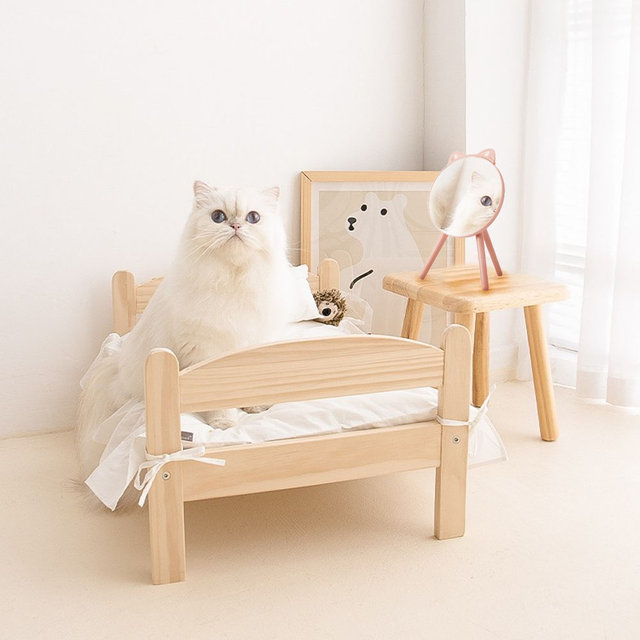 [해외직구] 미스터댕댕 강아지 고양이 반려동물 펫테리어 앙증 거울 빗