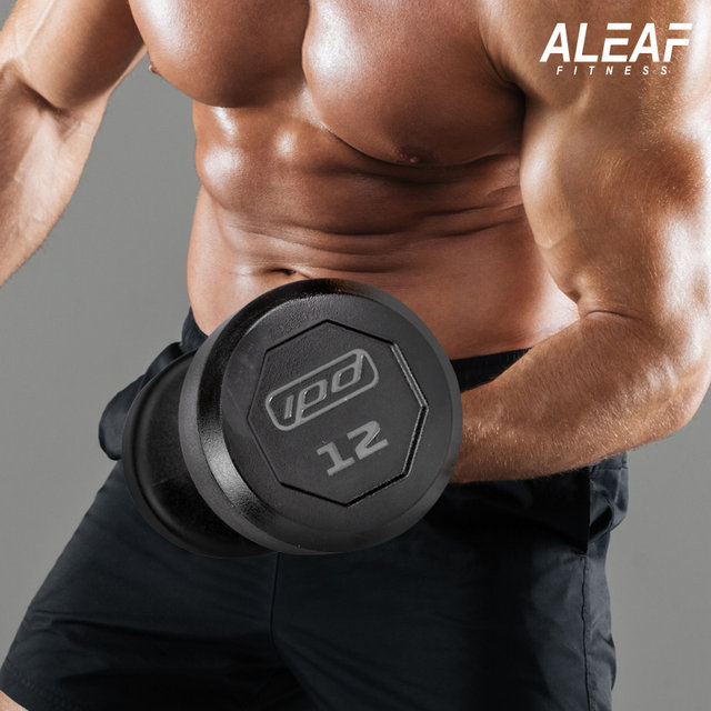 아리프 럭셔리 IPD 덤벨 40kg 아령 CPU신소재 헬스